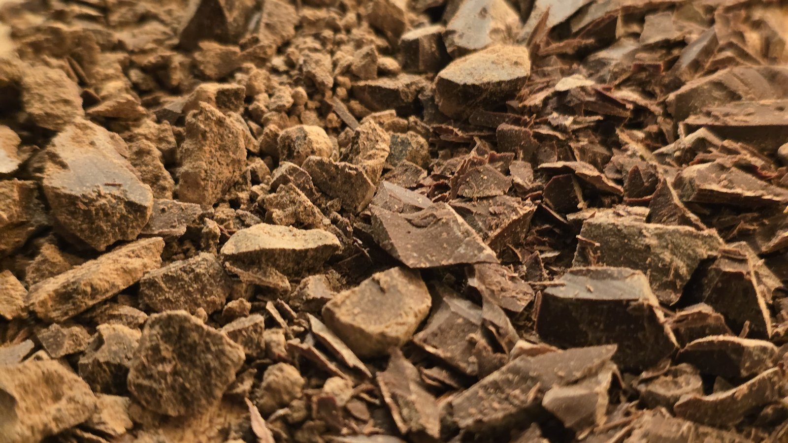 Cacao-Bacground