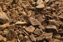 Cacao-Bacground